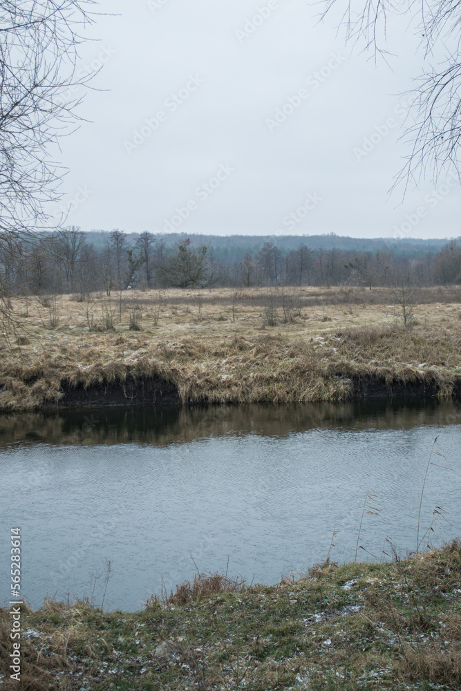 Fototapeta premium the river in the spring