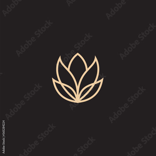 flower logo illustration. Floral wreaths. Botanical floral emblem with typography on black background