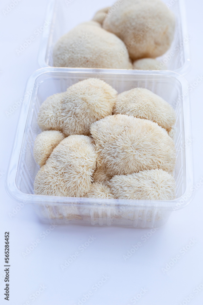 Fresh lion's mane mushroom on white background. Fresh lion's mane mushroom on white background.