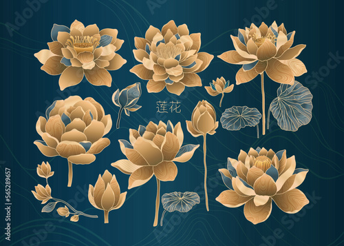 Set of lotus flowers for luxury and exclusive use in design. Water lilies in gold and blue colors, isolated elements. Nelumbo made in Chinese aesthetics and culture style.