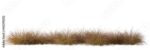 Tableau sur toile Savanna grass field row on transparent backgrounds 3d rendering png file