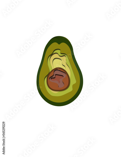 avocado isolated on white
