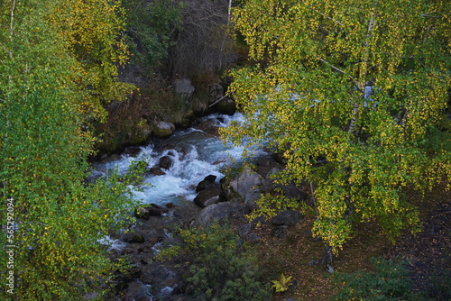 The river and different vegetation in the mountainous area.