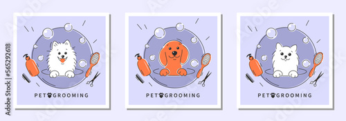Dog pet grooming. Animal hair grooming salon logo, haircuts, bathing. Cartoon dogs and cat taking bath full of soapy suds.Vector illustration
