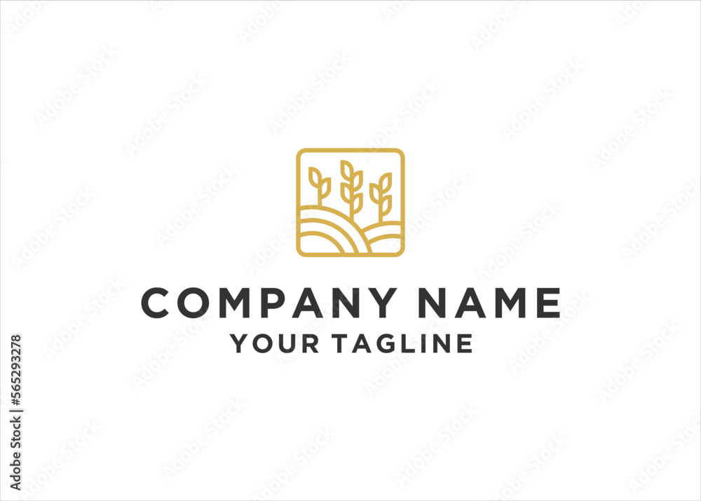 wheat grain logo design vector template wheat grain logo design vector template
