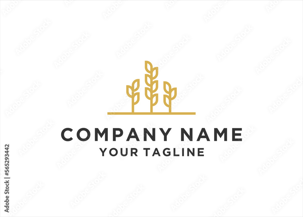 wheat grain logo design vector template wheat grain logo design vector template