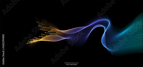 Vector abstract light lines wavy flowing dynamic in blue purple orange colors isolated on black background for concept of energy, electric, technology, digital, 5G, science, music