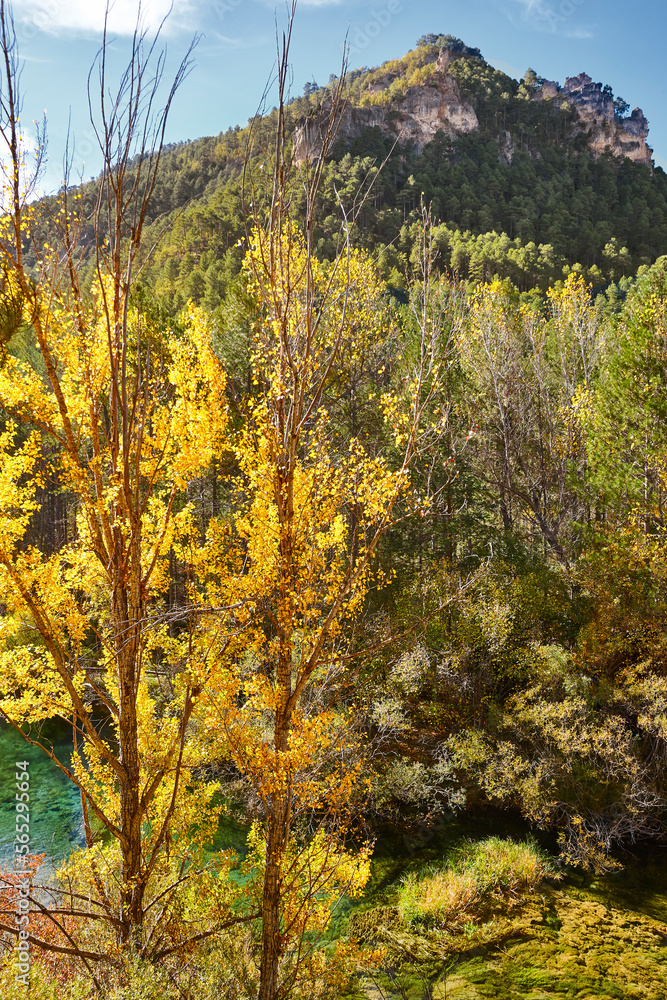 Picturesque Tajo river landscape in autumn. Guadalajara, Spain