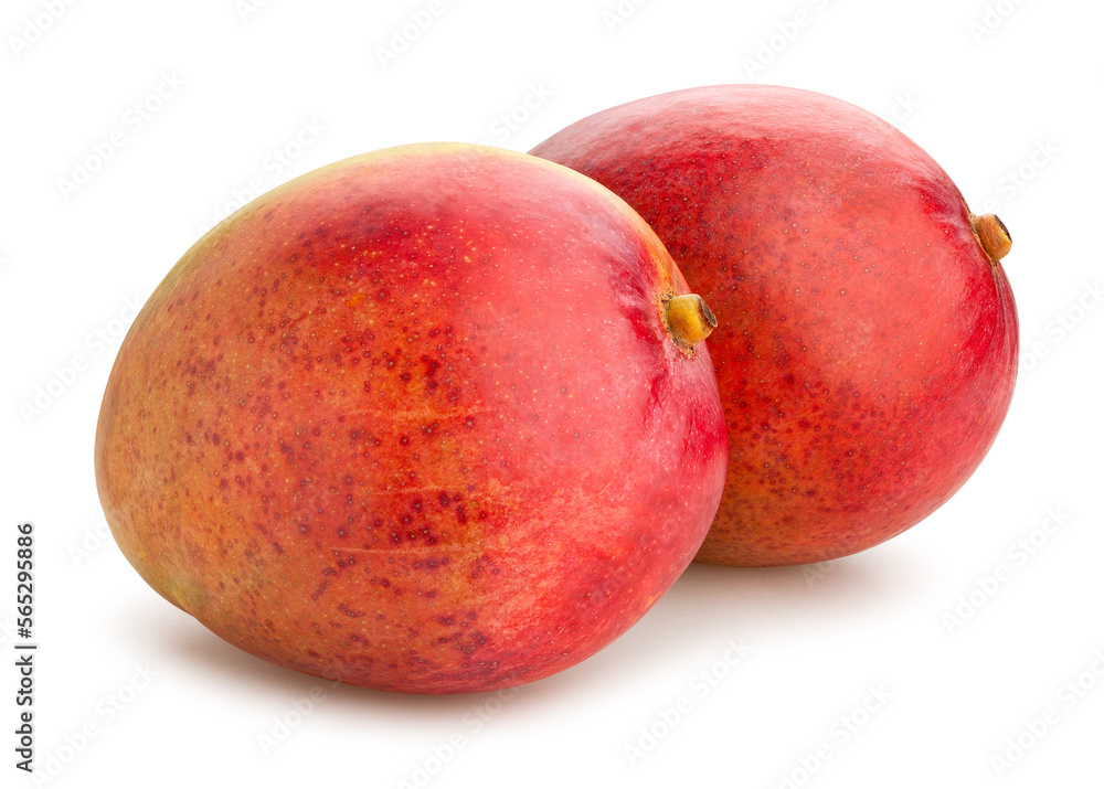 mango path isolated on white mango path isolated on white