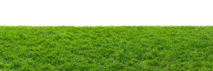 green grass field isolated on transparent background, png