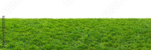 green grass field isolated on transparent background, png © andreusK