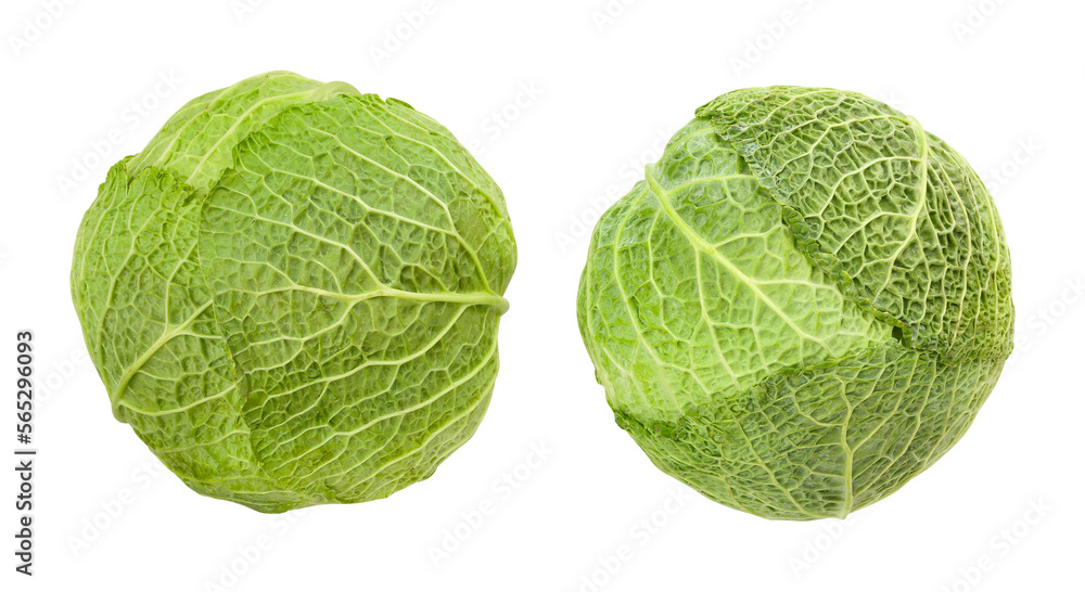 Fototapeta premium savoy cabbage path isolated on white
