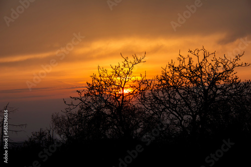 Sunset sky view. Czech Republic.