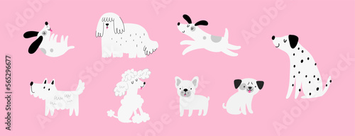 Cute cartoon dogs - vector illustrations. My pet - character in flat style