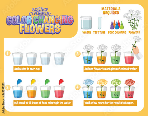 Color Changing Flowers Science Experiment