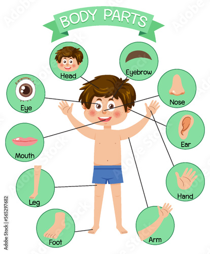 Body parts with vocabulary