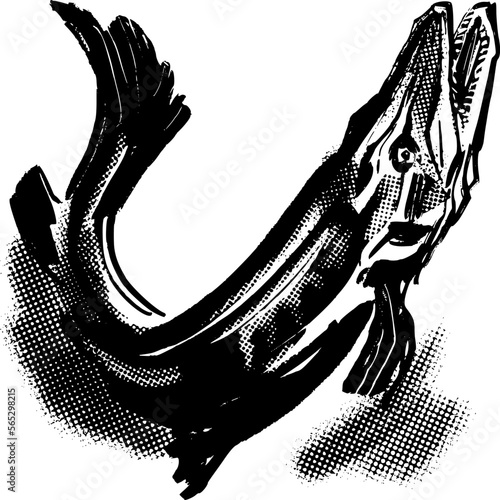 vector sketch of the pike fish jumping out of water 