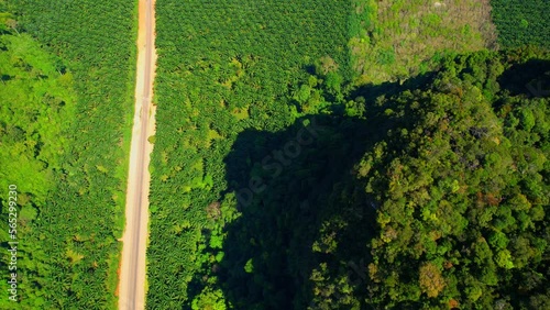 Wallpaper Mural Beautiful Limestone mountains roads, palm and coconut farming areas. Thailand. Epic asphalt roads. Green tropical rainforest. travel and tourism concept. Stunning stock video footage. 4K Drone
 Torontodigital.ca