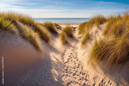 Photo of Path to the beach on the dunes with footsteps in the sand