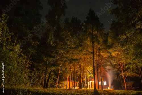 Beautiful view of the house next to the dark forest under the starry sky at night. the lights of the house add fabulousness to the composition. night shooting at long exposure, selective soft focus.