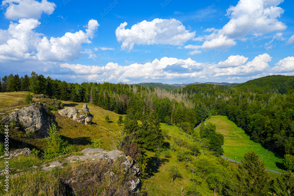 Obraz premium Landscape on the Steinberg in the landscape protection area in Herzberg am Harz, Lower Saxony. View from the mountain to the surrounding nature. 