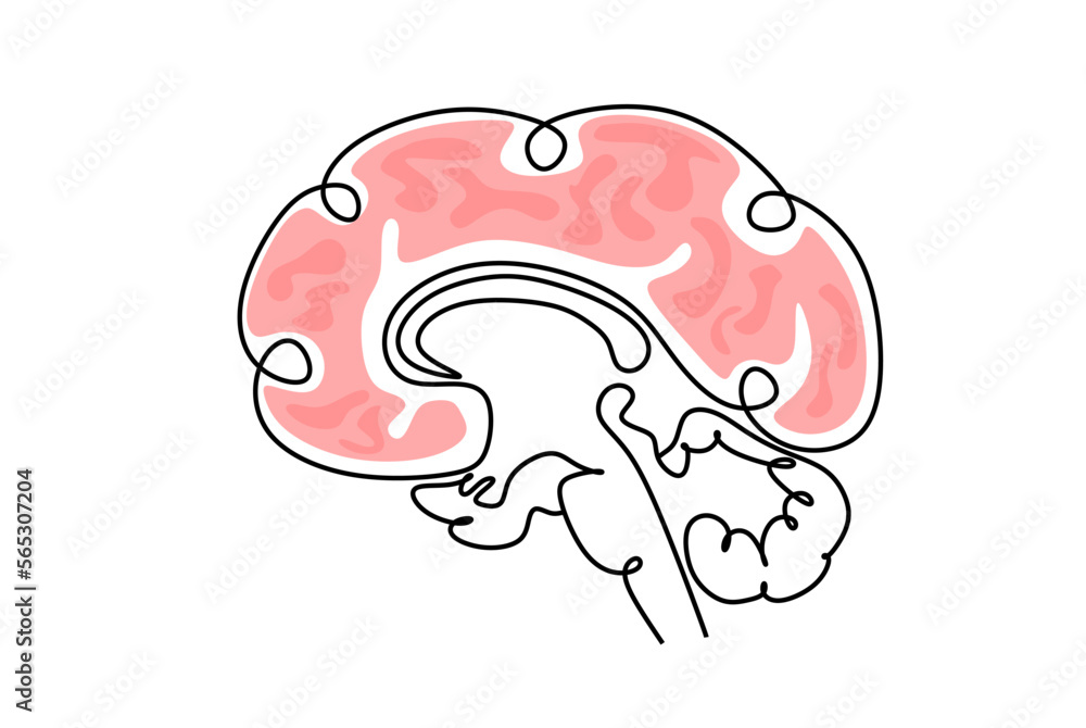 One single line drawing of human brain for memorizing medical clinic logo identity. Psychological office icon logotype concept. Dynamic continuous line draw design vector graphic illustration One single line drawing of human brain for memorizing medical clinic logo identity. Psychological office icon logotype concept. Dynamic continuous line draw design vector graphic illustration