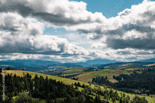 Beautiful mountain landscape panorama view with coniferous forest on a mountain range with forested hillsides, meadows covered with grass, clouds in the blue sky on a sunny day. Ecotourism