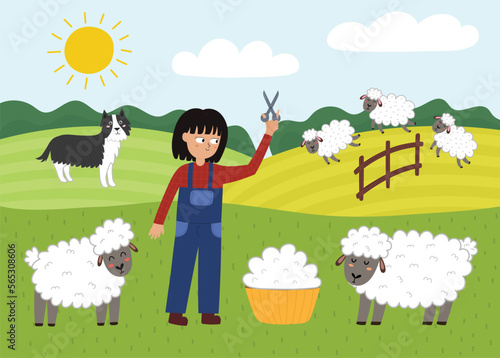 On the farm poster with cute animals. Girl shearing sheep and making wool on a green meadow. Pasture landscape with sheep characters. Countryside background. Vector illustration