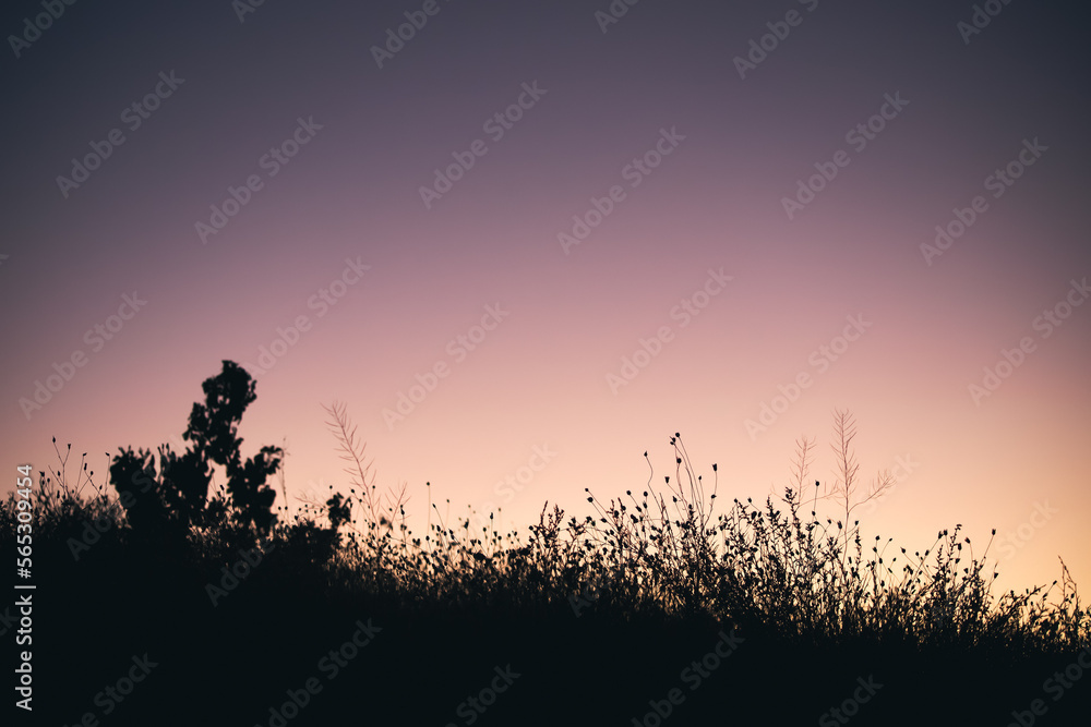 Moody picture of a twilight after romantic sunset outdoors