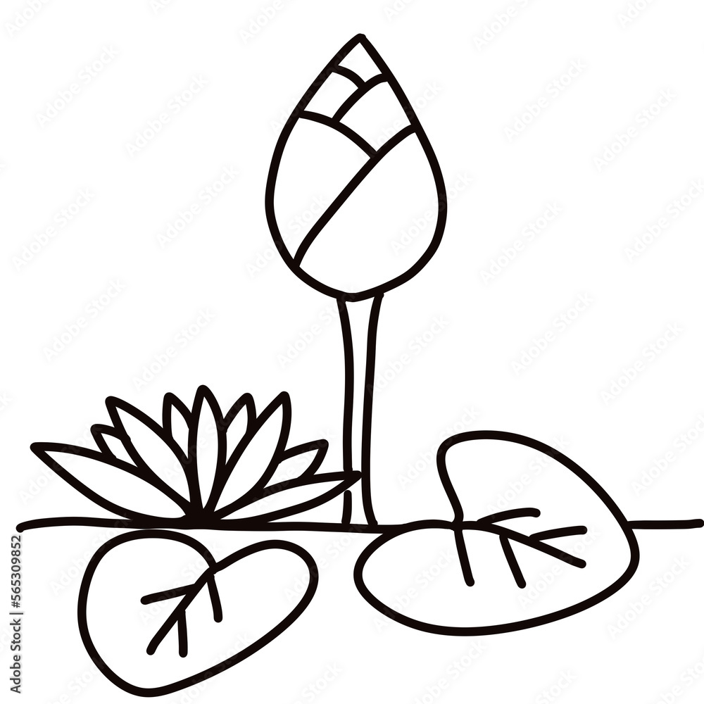 lotus lotus