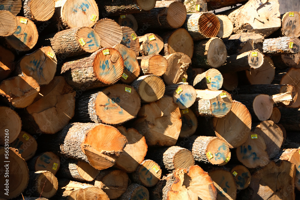 Stack of hardwood logs near Erwin, TN await a trip to lumber mill Stock
