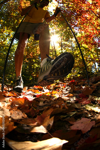 Ground-level fisheye view of male hiker walking through fall leaves in the Pisgah National Forest near Brevard, NC photo