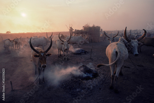 Smoldering dung fires keep mosquitos at bay in a Dinka catte camp near the Sudd swamp in southern Sudan.