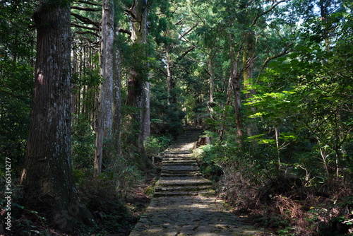 熊野古道、和歌山、熊野三山、くまのこどう、熊野那智大社、那智、なちたいしゃ、参詣道、熊野参詣道、紀伊半島、世界文化遺産、世界遺産、紀伊山地の霊場と参詣道、ユネスコ、文化遺産、日本、森、古い道、参拝、参道、伝統、お遍路、石階段、木、大門坂、中遍路、中辺路、案内図、楠、五町、看板、空、山、景色、アウトドア、宗教、崇拝、和歌山、日本、神道、仏教、鳥居、橋、木、信仰、古い、建物、アジア、看板、案内板、説明