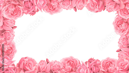 Valentines Day. Roses frame border isolated on a transparent background. Romantic rose set for valentine day and love illustration.