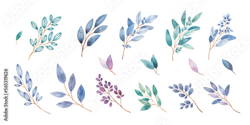 Floral set of hand-painted watercolor. Flowers, twigs, leaves, blue. An illustration highlighted on a white background. Use it for postcards, invitations and scrapbooking.