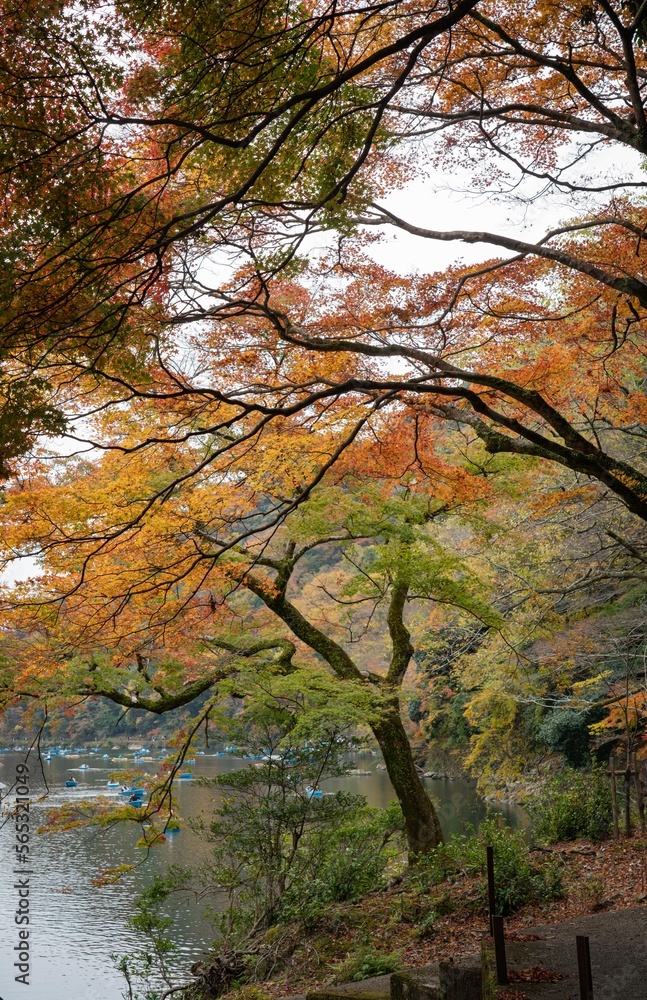 嵐山紅葉