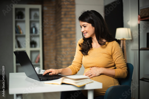 Beautiful pregnant woman working on laptop. Young businesswoman working in her office.