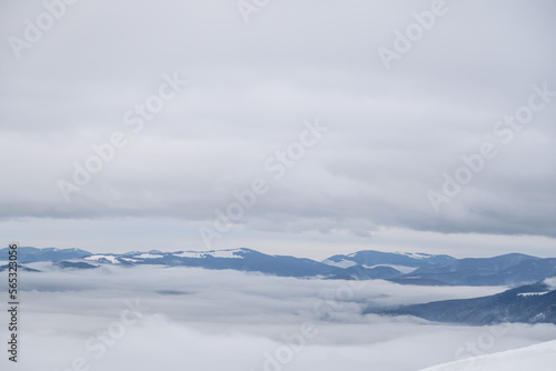 Dragobrat, Ukraine mountain landscape with fog and fir trees