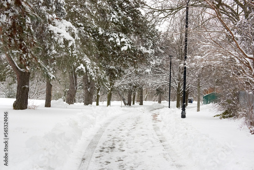 Bayview Village park covered in fresh snow.