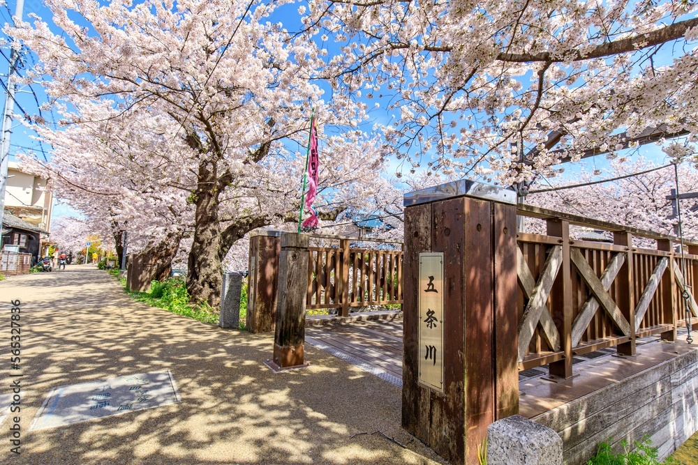当時のメディア報道・掲載写真