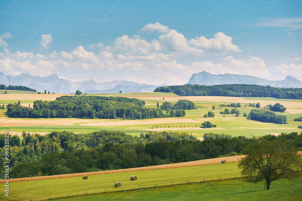 Beautiful summer landscape with bright green fields, canton of vaud, Switzerland