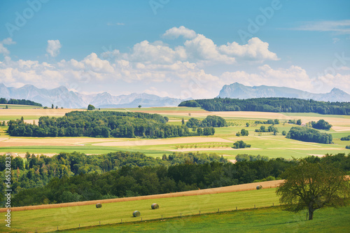 Beautiful summer landscape with bright green fields, canton of vaud, Switzerland © annanahabed