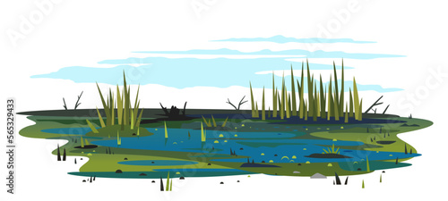 Wild danger swamp with dirty water and various plants isolated illustration, dead trees with bulrush plants, clipart of terrible mystical place, swampy pond with reeds, overgrown pond