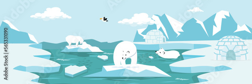 North pole Arctic with Polar bear and cub background