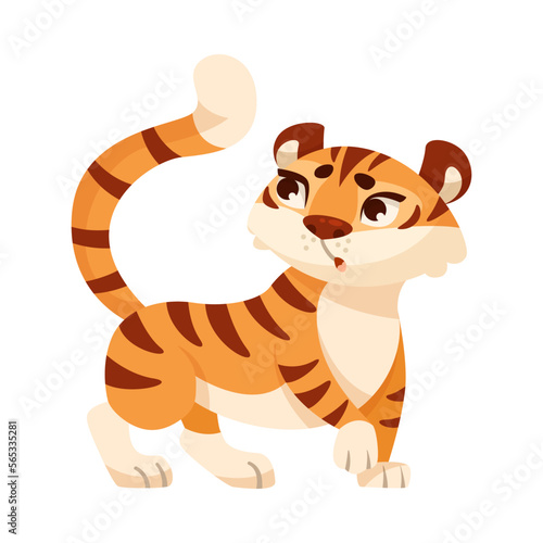 Cute Tiger Cub with Striped Orange Fur Walking Vector Illustration