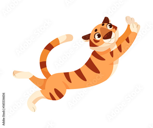Adult Tiger with Striped Coat in Jumping Pose Vector Illustration
