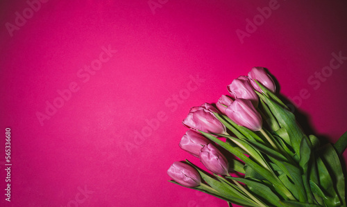 Fototapeta Naklejka Na Ścianę i Meble -  Bouquet of pink tulips on a pink background.
