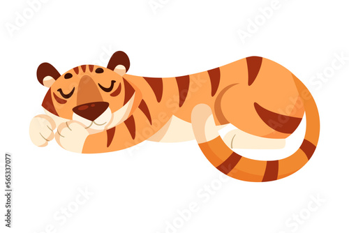 Adult Tiger with Striped Coat Sleeping and Cuddling Vector Illustration
