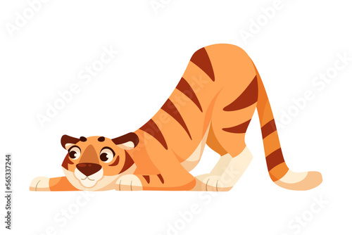 Adult Tiger with Striped Coat Playing Vector Illustration